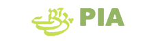 Pakistan International Airlines