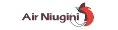 Air Niugini
