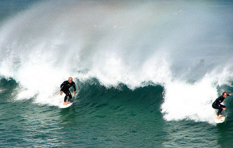 Surf's Up