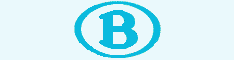 Belgian Railways