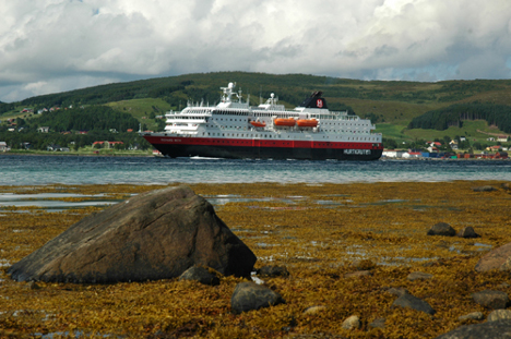 Best Norwegian - Hurtigruten