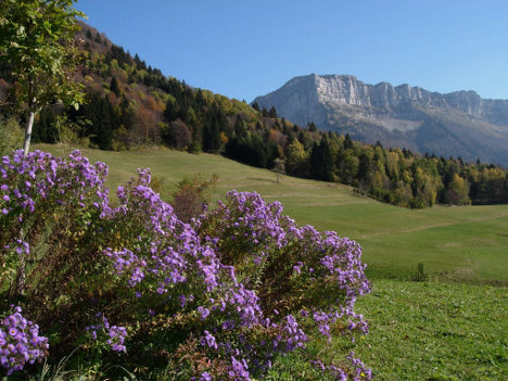 French Alps Tours - Granier