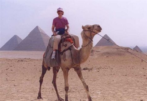 Nile Valley Travel - Camel