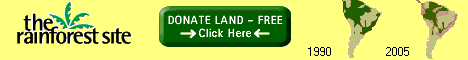 The Rainforest Site