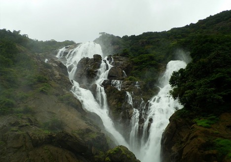 Dudhsagar Waterfalls, Goa