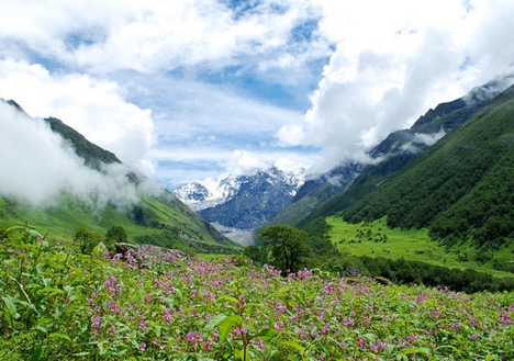 Valley of Flowers, Uttarakhand