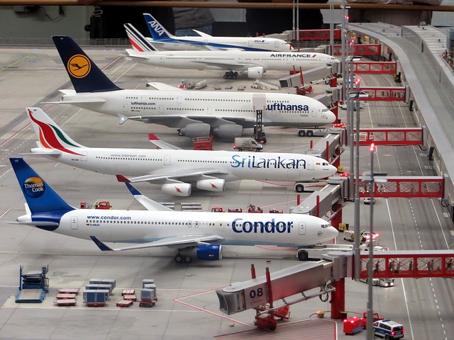 Tips for Choosing an Airline Before Booking Your Next Flight