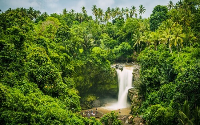 A Taste of Nature and Adventure
