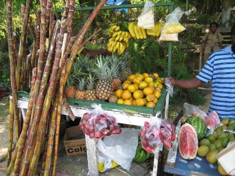 Fruit - Jamaica