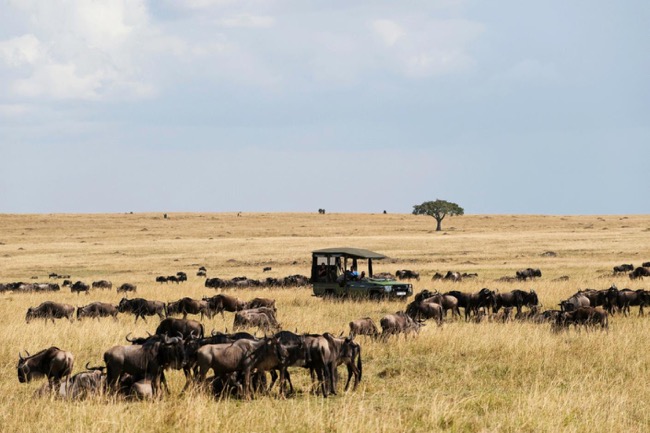 Maasai Mara National Reserve – Kenya