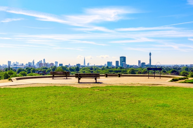 Primrose Hill