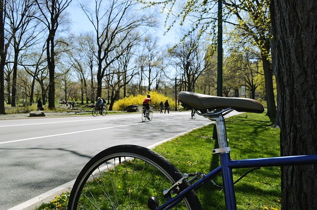How To Survive a Long Long Bike Ride in NYC