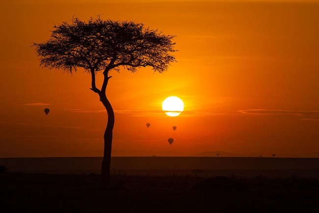 Masai Mara, Kenya