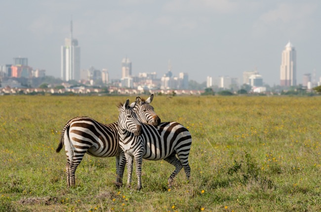 Overlooked Travel Destination – The Cradle of Humanity