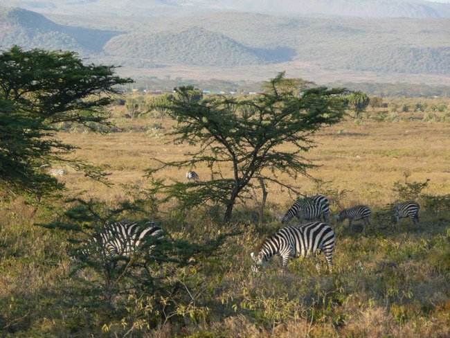 Perfect holidays in Africa: destinations you did not know