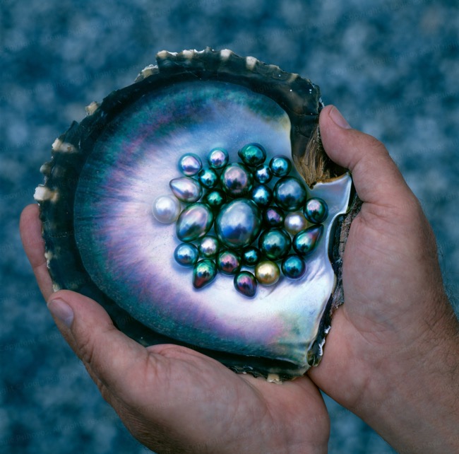 Tahitian Black Pearls