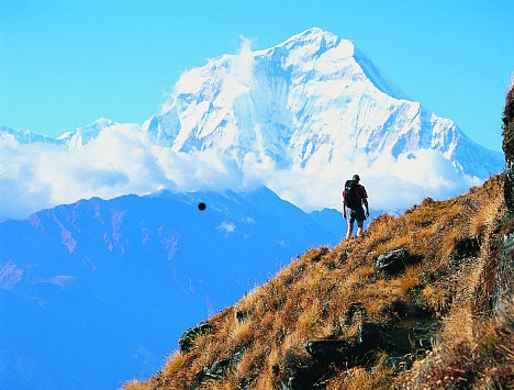 The mighty Himalaya