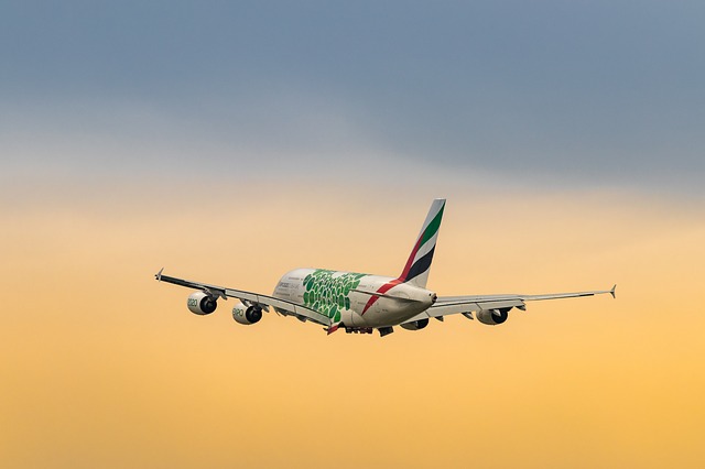 Train vs. Flight: Which is Better?
