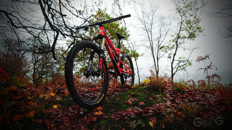 Mountain Bike
