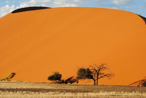 Dune 45