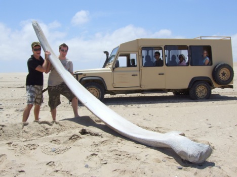 The Skeleton Coast