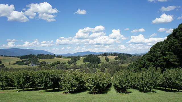 Yarra Valley, Victoria
