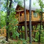 Tree House Hotels